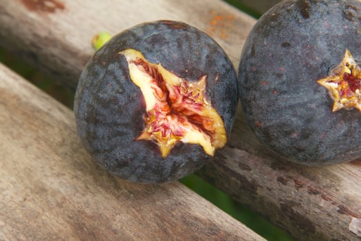 Fresh violet fig. photo