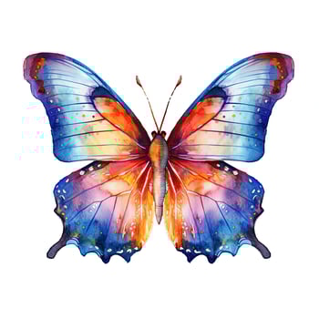 Watercolor butterfly. Illustration photo