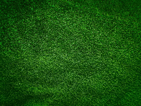 Green grass texture background grass garden concept used for making green background football pitch, Grass Golf, green lawn pattern textured background. photo
