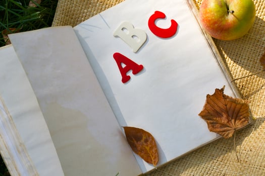 Book and a red apple on a green grass. photo