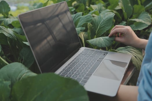 Asian woman farmer using digital tablet in vegetable garden at greenhouse, Business agriculture technology concept, quality smart farmer. photo