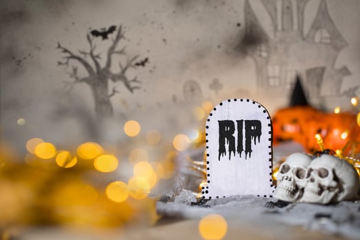 Grave and two skulls. Closeup photo