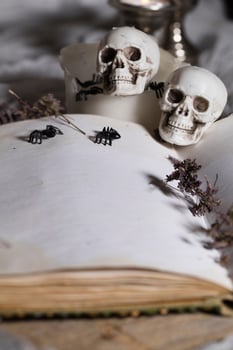 Opened book of bewitchment with free space for a text. photo