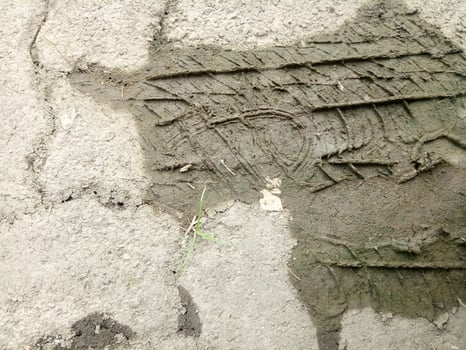 Traces of car tires imprinted in the mud photo