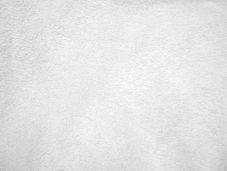 White clean wool texture background. light natural sheep wool. white seamless cotton. texture of fluffy fur for designers. close-up fragment white wool carpet. photo