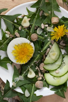 Dandelion salad on a white plate. photo