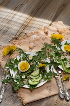 Dandelion salad on a white plate. photo