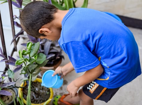 Cute 5 years old Asian little boy is watering the plant in the pots located at house balcony. Love of sweet little boy for the mother nature during watering into plants. Kid Planting photo