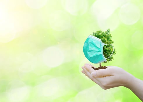 Concept tree wearing a mask to protect environment photo