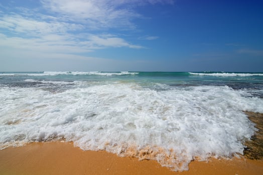 Foamy wave of the sea photo