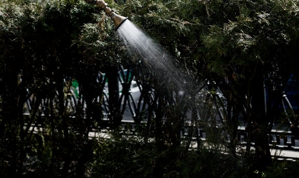 watering plants on the street photo