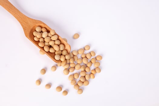 Soya bean in wooden scoop spoon on white background photo