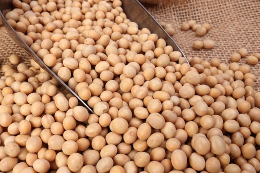 Soya bean in metal scoop on jute yarn fabric background photo