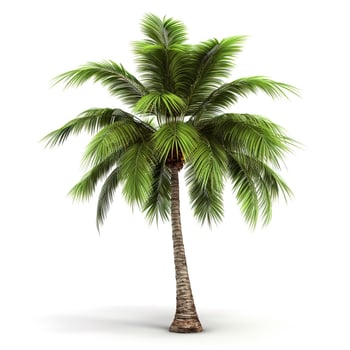 Coconut tree isolated on the white background, generate ai photo