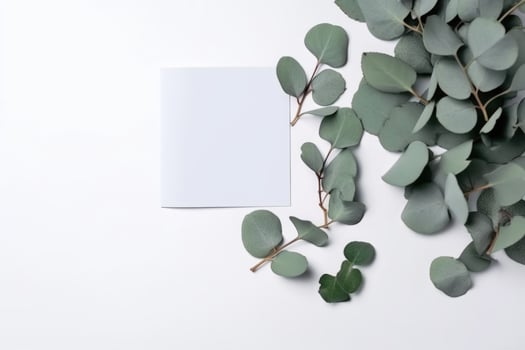 Spring or Summer, Nature Composition Background With Eucalyptus Leaves with Paper Sheet. Illustration. photo