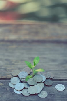 Vintage  Money growth Deposit your budget for investment photo