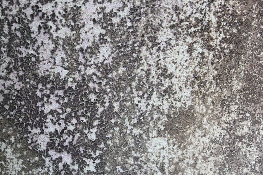 weathered dirty wall background, grungy wall surface, rustic wall backdrop photo