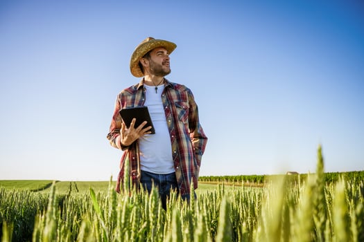 Man is cultivating barley on his land. He is satisfied because of good progress of crops. photo