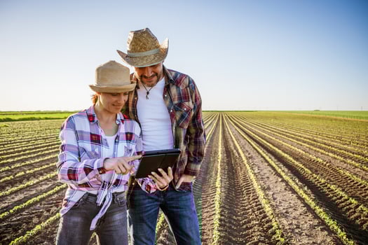 Man and woman are working as farmers in partnership. They are cultivating soybean. photo