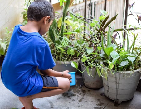 Cute 5 years old Asian little boy is watering the plant in the pots located at house balcony, Love of sweet little boy for the mother nature during watering into plants, Kid Planting photo