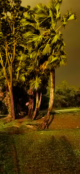 nature cloud village photo rode