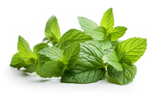 fresh green mint leaves isolated on white background, top view. Flat lay, generate ai photo