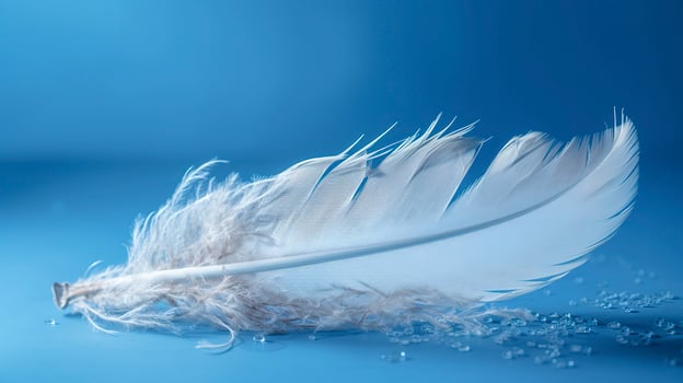 a bright blue background with one white feather, in the style of soft and dreamy pastels, glimmering light effects, nature inspired imagery, fairycore, soft focal points, generate ai photo