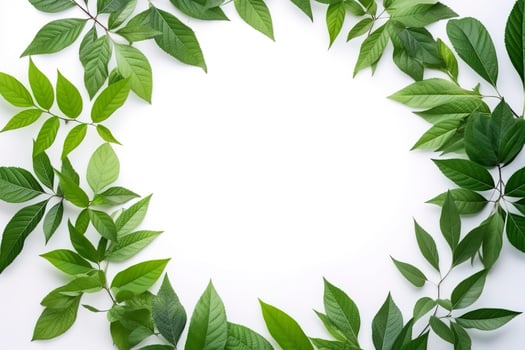 Green leaves on white background healthy lifestyle photo beautiful wallpaper nature concept art ideas , generate ai