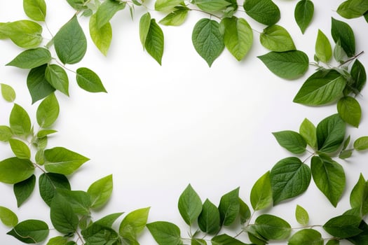 Green leaves on white background healthy lifestyle photo beautiful wallpaper nature concept art ideas , generate ai