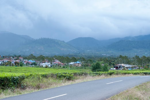 Tea Garden in the area of Mount Kerinci, Jambi, Indonesia photo