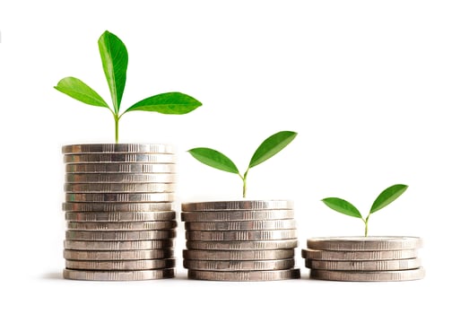 Green leaf plant on save money coins, Business finance saving banking investment concept. photo