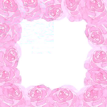 Hand drawn watercolor pink roses boarder on white background. Scrapbook, post card, wedding invitation, album. photo