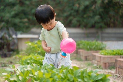 Organic farming at home, organic vegetable farm. Children watering organic vegetables . Non toxic vegetable grow naturally. greenhouse garden, Ecological Biological, Healthy, Vegetarian, ecology photo