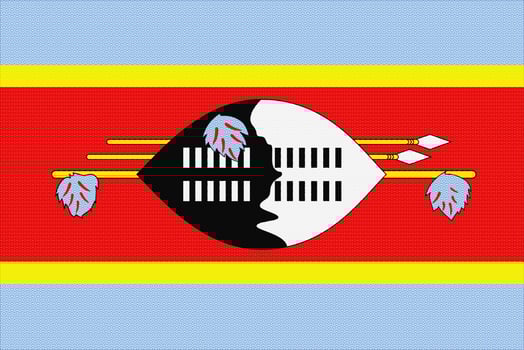 Flag of Kingdom of Eswatini on a textured background. Concept collage. photo