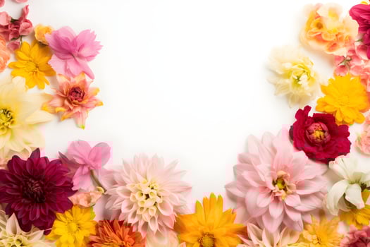 Colorful flowers composition on white background photo