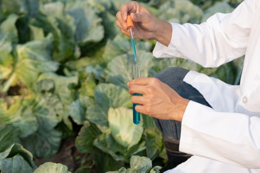 Scientist check chemical food residues on outdoor. Control experts inspect quality of fruits, vegetables. lab, hazards, ROHs, find prohibited substances, contaminate, Microscope, Microbiologist photo