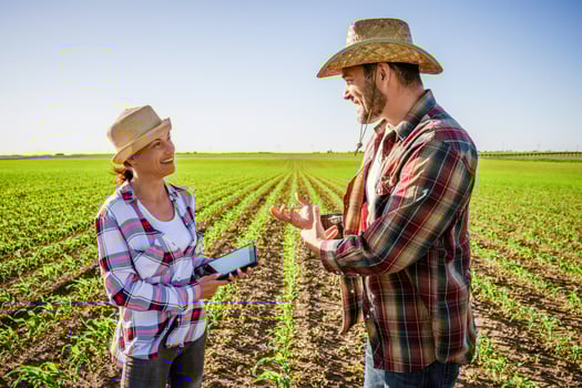 Man and woman are working together in partnership. They are cultivating corn. photo