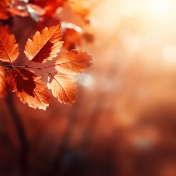 Autumn falling leaves background. Illustration photo