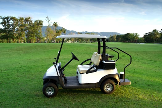 New white golf cart parked on golf course grass photo