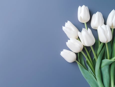 Beautiful tulip flowers with copy Space background, top view. Space for text photo