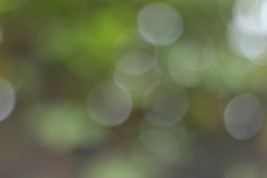 Defocused abstract background of nature. photo