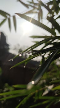 Water drop with blurry bokeh photo