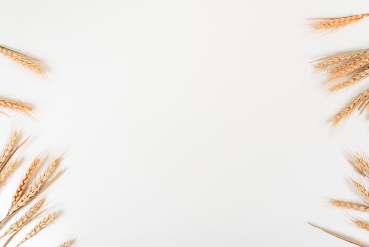 wheat on white table background top view photo