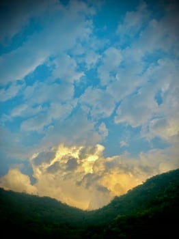 Nature beauty picture photo