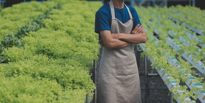 Researchers in hydroponic vegetable gardens are collecting samples to test vegetables grown from research water and examining the water used for growing hydroponic vegetables on the farm. photo