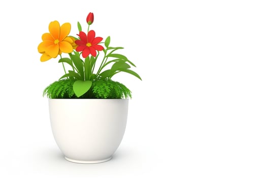 3d beautiful flower, nature flowers and plant pot illustration isolated on white background, copy space photo