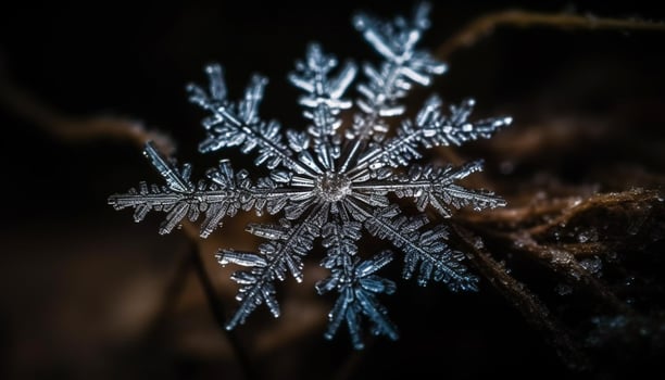 Sharp ice crystals on green fir tree, winter celebration decoration generated by AI photo