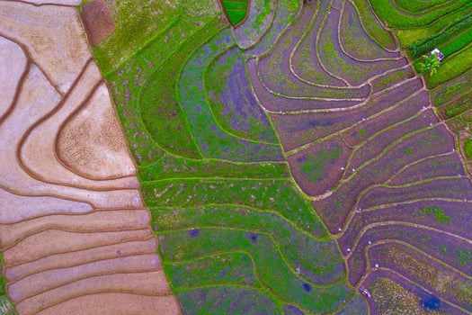 Beautiful morning view indonesia Panorama Landscape paddy fields with beauty color and sky natural light photo