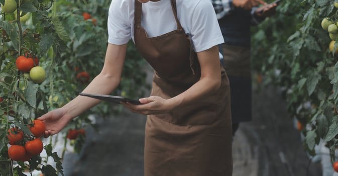 woman in the hydroponic vegetable farm grows wholesale hydroponic vegetables in restaurants and supermarkets, organic vegetables. new generations growing vegetables in hydroponics concept photo