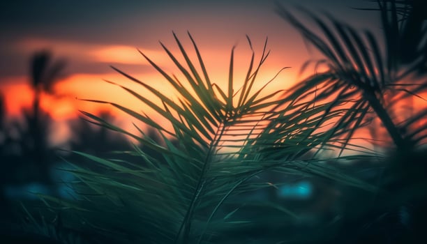 Silhouette of palm tree against vibrant sunset sky, tropical paradise generated by AI photo